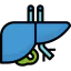 Liver icône 64x64