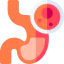 Stomach icon 64x64