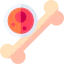 Bone icon 64x64