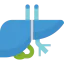 Liver icône 64x64