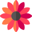Flower icon 64x64