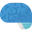 Brain icon 64x64