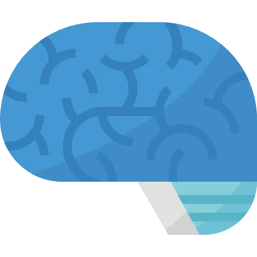 Brain icon