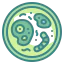 Bacteria ícono 64x64