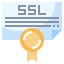 Ssl іконка 64x64