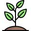 Sprout icon 64x64