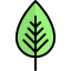 Leaf icon 64x64