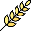 Wheat icon 64x64