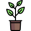 Sprout icon 64x64