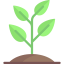 Sprout icon 64x64