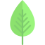 Leaf icon 64x64