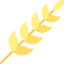 Wheat icon 64x64