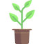 Sprout icon 64x64
