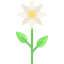 Flower 图标 64x64