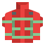 Jacket ícono 64x64