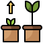 Growth biểu tượng 64x64