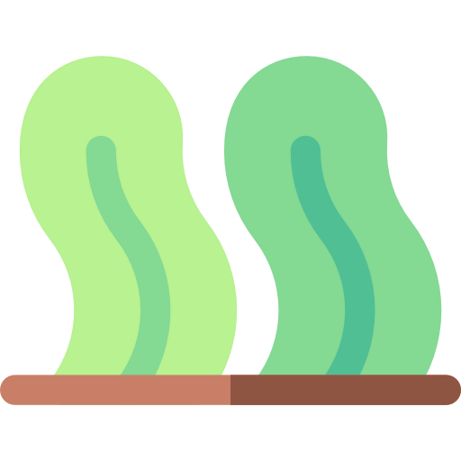 Seaweed icon