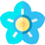 Flower icon 64x64