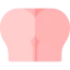 Anal ícono 64x64