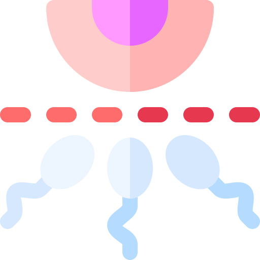 Contraceptive methods icon