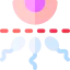 Contraceptive methods ícono 64x64