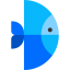 Fish icon 64x64