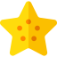 Starfish icon 64x64