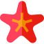 Starfish іконка 64x64