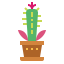 Cactus icon 64x64