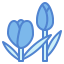 Tulip icon 64x64