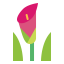 Lilly 图标 64x64