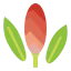 Flower 图标 64x64