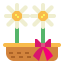 Daisy 图标 64x64