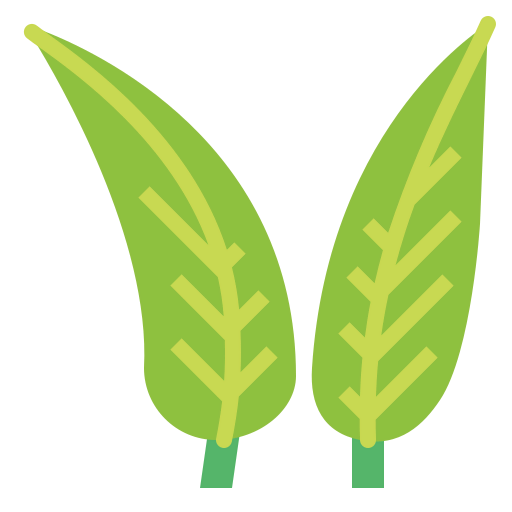 Leaf icon