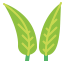 Leaf icon 64x64