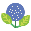 Hydrangea icon 64x64