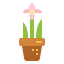 Orchid icon 64x64