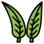 Leaf icon 64x64