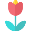 Flower icon 64x64