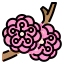 Plum icon 64x64