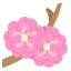 Plum 图标 64x64