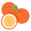 Orange 图标 64x64