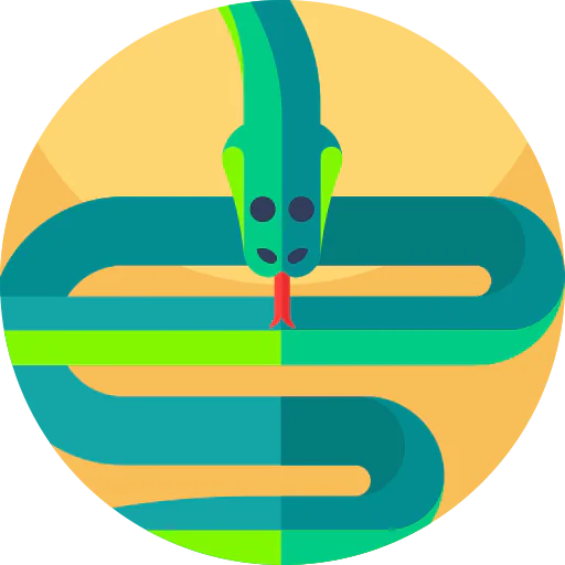 Snake icon