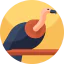 Vulture icon 64x64