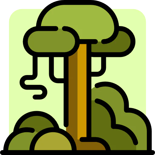 Rainforest іконка