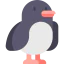 Penguin icon 64x64