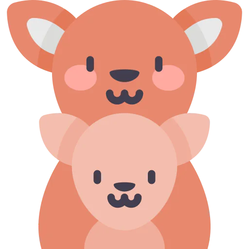 Kangaroo icon
