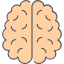 Brain 图标 64x64