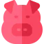 Pig icon 64x64