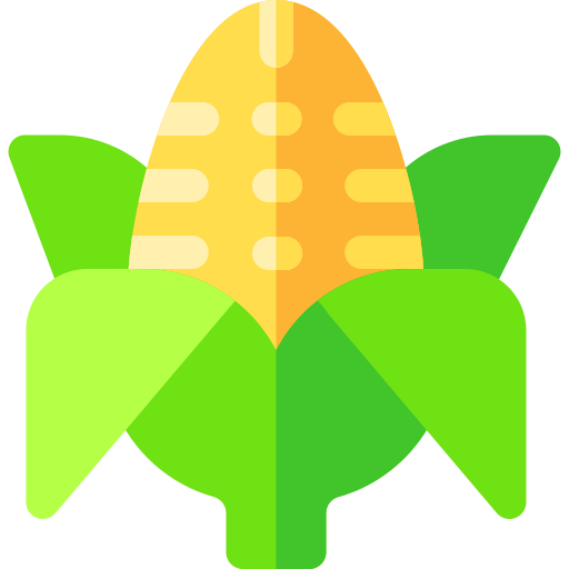 Corn icon